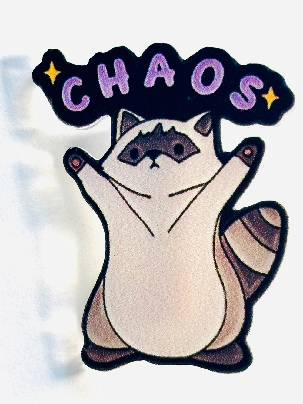 Chaos Raccoon Acrylic Brooch, NWT